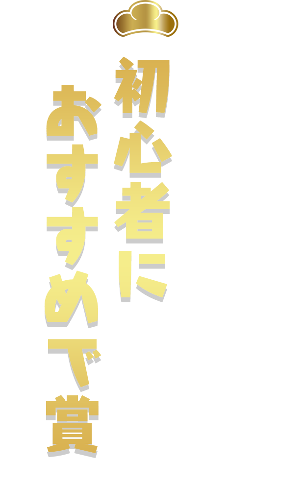 初心者におすすめで賞